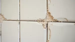 ile schnie klej do płytek