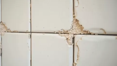 ile schnie klej do płytek